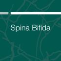 Spina Bifida Publication Cover Image