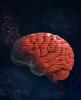 cartoon brain with DNA sequences superimposed