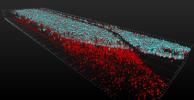 Organ chip used grow spinal cord parts from human skin cells