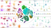 A central circle with multiple colored patches inside. The colored patches represent a visualization of the mouse MOp transcriptomic taxonomy. The colored patches are overlaid with small black dots representing mapped neuronal cells. Surrounding the centr