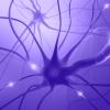 Illustration of brain cell firing an action potential.