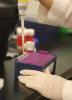 Stock image of laboratory work